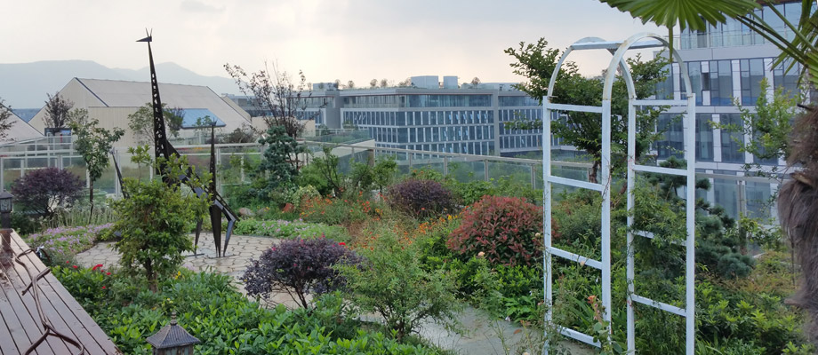 南京萬通城市建設設計院弱電系統(tǒng)項目案例。